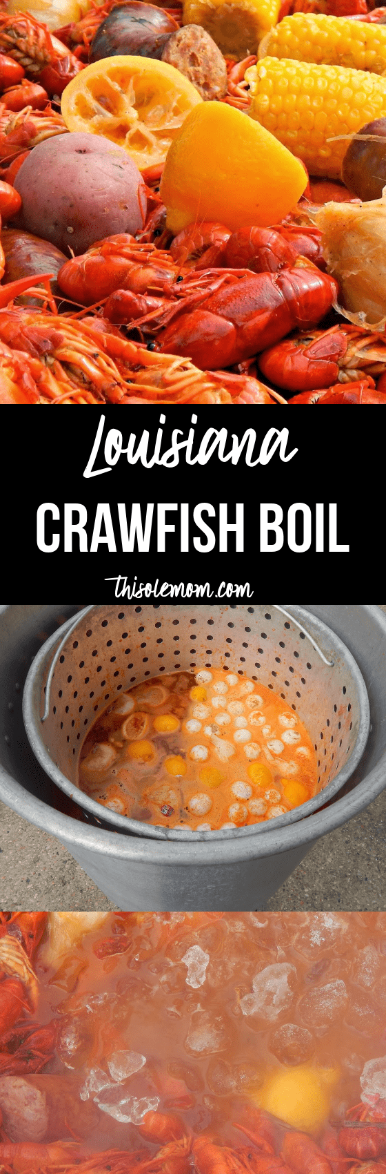 Louisiana Crawfish Boil - This Ole Mom