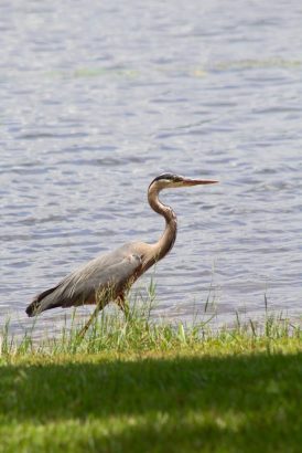 Family Fun at Little Black Creek Campground and Park - This Ole Mom