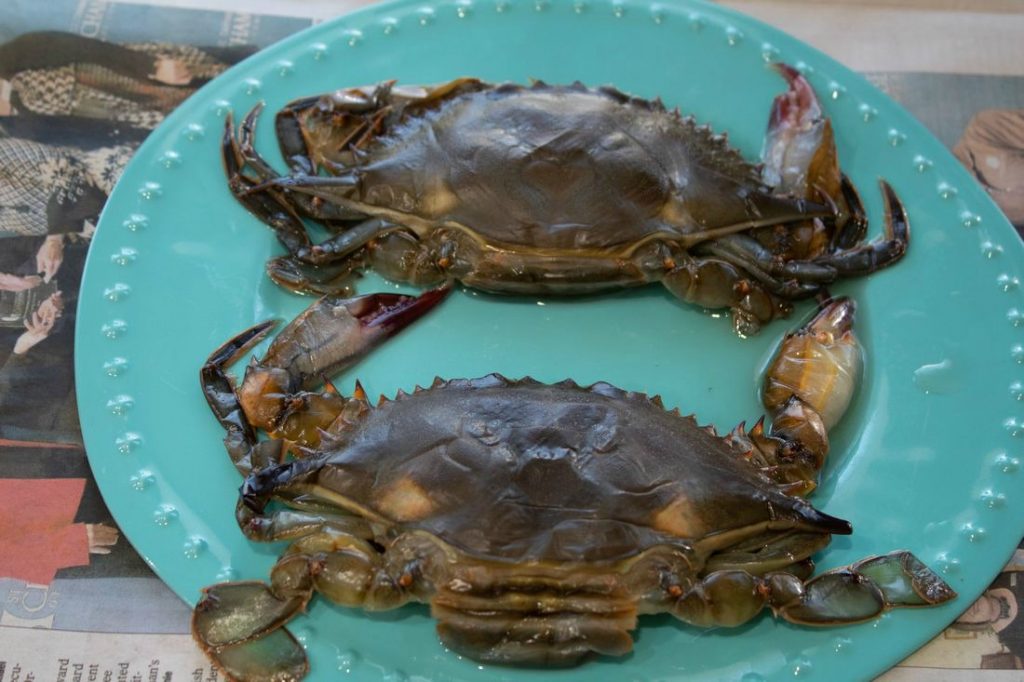 How to Clean a Soft Shell Crab