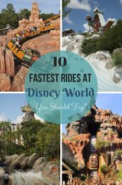 Fastest Rides at Walt Disney World - This Ole Mom